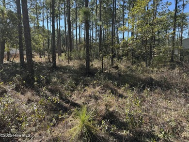 Discover the perfect opportunity to build your dream home or on The Lakes Country Club in North Carolina - for sale on GolfHomes.com, golf home, golf lot