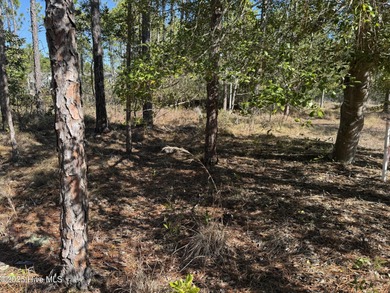 Discover the perfect opportunity to build your dream home or on The Lakes Country Club in North Carolina - for sale on GolfHomes.com, golf home, golf lot