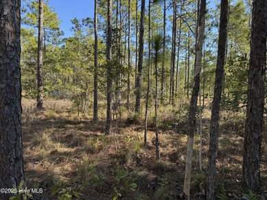 Discover the perfect opportunity to build your dream home or on The Lakes Country Club in North Carolina - for sale on GolfHomes.com, golf home, golf lot