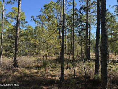 Discover the perfect opportunity to build your dream home or on The Lakes Country Club in North Carolina - for sale on GolfHomes.com, golf home, golf lot