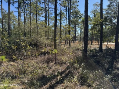 Discover the perfect opportunity to build your dream home or on The Lakes Country Club in North Carolina - for sale on GolfHomes.com, golf home, golf lot