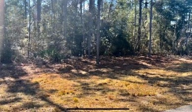 20 Acres MOL COMMERCIAL right in the center of 28,000 HOME on Citrus Springs Country Club in Florida - for sale on GolfHomes.com, golf home, golf lot