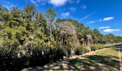 20 Acres MOL COMMERCIAL right in the center of 28,000 HOME on Citrus Springs Country Club in Florida - for sale on GolfHomes.com, golf home, golf lot