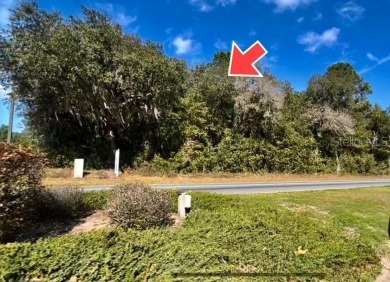 20 Acres MOL COMMERCIAL right in the center of 28,000 HOME on Citrus Springs Country Club in Florida - for sale on GolfHomes.com, golf home, golf lot