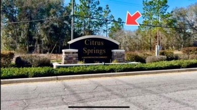 20 Acres MOL COMMERCIAL right in the center of 28,000 HOME on Citrus Springs Country Club in Florida - for sale on GolfHomes.com, golf home, golf lot