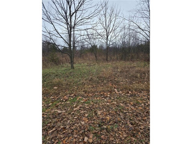 Discover the endless amenities  of Linn Valley Lakes. This on Linn Valley Lakes - Deer Trace Golf Course in Kansas - for sale on GolfHomes.com, golf home, golf lot