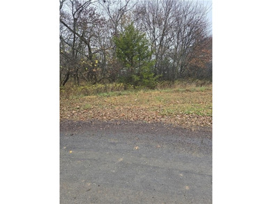 Discover the endless amenities of Linn Valley Lakes. This on Linn Valley Lakes - Deer Trace Golf Course in Kansas - for sale on GolfHomes.com, golf home, golf lot