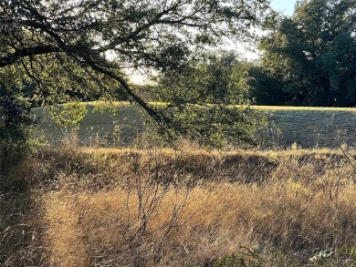 Discover a prime golf course lot at The Hideout, perfectly on Hideout Golf Club and Resort  in Texas - for sale on GolfHomes.com, golf home, golf lot