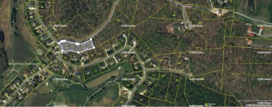PRICE REDUCTION: End of Summer sale, 30 days - 30 days to close! on White Plains Golf Course in Tennessee - for sale on GolfHomes.com, golf home, golf lot