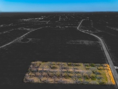 Howdy! Welcome to The Landings East at Pecan Plantation, LOT on Pecan Plantation Country Club in Texas - for sale on GolfHomes.com, golf home, golf lot