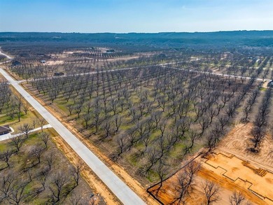 Howdy! Welcome to The Landings East at Pecan Plantation, LOT on Pecan Plantation Country Club in Texas - for sale on GolfHomes.com, golf home, golf lot