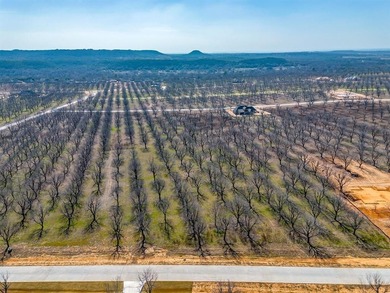 Howdy! Welcome to The Landings East at Pecan Plantation, LOT on Pecan Plantation Country Club in Texas - for sale on GolfHomes.com, golf home, golf lot