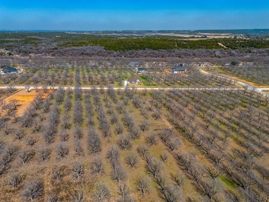 Howdy! Welcome to The Landings East at Pecan Plantation, LOT on Pecan Plantation Country Club in Texas - for sale on GolfHomes.com, golf home, golf lot