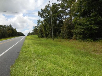 OVER 6.5 ACRES ON STATE ROAD 121! Check out this 6.69 acres with on Williston Highlands Golf and Country Club in Florida - for sale on GolfHomes.com, golf home, golf lot