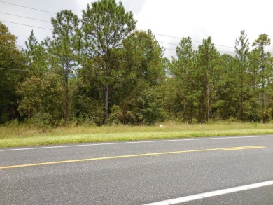 OVER 6.5 ACRES ON STATE ROAD 121! Check out this 6.69 acres with on Williston Highlands Golf and Country Club in Florida - for sale on GolfHomes.com, golf home, golf lot