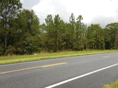 OVER 6.5 ACRES ON STATE ROAD 121! Check out this 6.69 acres with on Williston Highlands Golf and Country Club in Florida - for sale on GolfHomes.com, golf home, golf lot