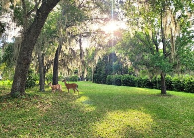 Nestled next to the amazing beauty of Payne's Prairie lies YOUR on Gainesville Golf and Country Club in Florida - for sale on GolfHomes.com, golf home, golf lot