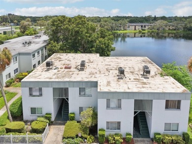 Discover the charm of this beautifully renovated 1 Bedroom, 1 on Clearwater Executive Golf Course in Florida - for sale on GolfHomes.com, golf home, golf lot