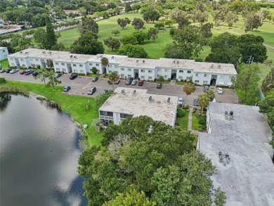 Discover the charm of this beautifully renovated 1 Bedroom, 1 on Clearwater Executive Golf Course in Florida - for sale on GolfHomes.com, golf home, golf lot