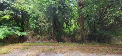 This 0.17-acre lot is adjacent to the new golf course at White on White Bluff Resort - New Course in Texas - for sale on GolfHomes.com, golf home, golf lot