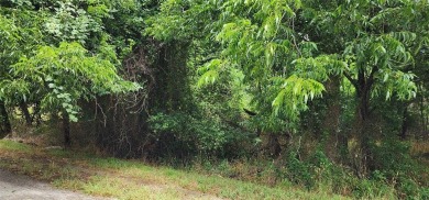 This 0.17-acre lot is adjacent to the new golf course at White on White Bluff Resort - New Course in Texas - for sale on GolfHomes.com, golf home, golf lot