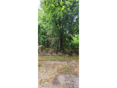 This 0.17-acre lot is adjacent to the new golf course at White on White Bluff Resort - New Course in Texas - for sale on GolfHomes.com, golf home, golf lot