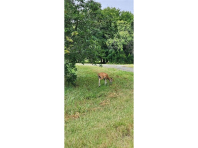 This 0.17-acre lot is adjacent to the new golf course at White on White Bluff Resort - New Course in Texas - for sale on GolfHomes.com, golf home, golf lot