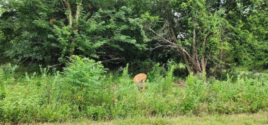 This 0.17-acre lot is adjacent to the new golf course at White on White Bluff Resort - New Course in Texas - for sale on GolfHomes.com, golf home, golf lot
