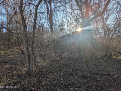 Opportunity knocks at 261 Ootsima Way--a picturesque vacant land on Toqua Golf Course - Loudon County in Tennessee - for sale on GolfHomes.com, golf home, golf lot