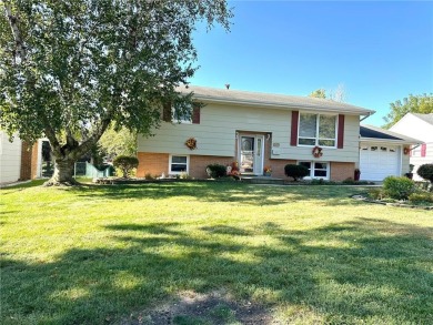 Welcome to 350 Lake Hill Drive! This 4-bed, 2-bath split-foyer on Worthington Country Club in Minnesota - for sale on GolfHomes.com, golf home, golf lot
