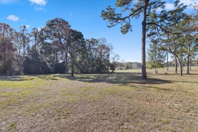 Stunning Custom Brick Home in Black Diamond Ranch - Guard-Gated on Black Diamond Ranch Golf Course in Florida - for sale on GolfHomes.com, golf home, golf lot