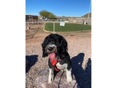 Ready For It's New Owner! Fully Furnished 2 BD 2BA South Facing on Viewpoint Golf Resort in Arizona - for sale on GolfHomes.com, golf home, golf lot