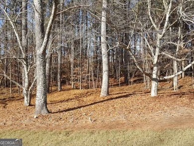 104 Hawks CT LOT 67 Ball Ground, GA Hawks Ridge Golf Club 1.24 on Hawks Ridge Golf Club in Georgia - for sale on GolfHomes.com, golf home, golf lot