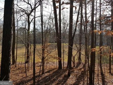 104 Hawks CT LOT 67 Ball Ground, GA Hawks Ridge Golf Club 1.24 on Hawks Ridge Golf Club in Georgia - for sale on GolfHomes.com, golf home, golf lot