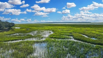 Welcome to your dream home in the picturesque Cooper's Point on Sapelo Hammock Golf Club in Georgia - for sale on GolfHomes.com, golf home, golf lot