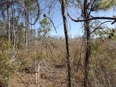 Lots 19, 20 and 21 along Comstock Lane at the corner of White on Players Course At Wyboo Plantation in South Carolina - for sale on GolfHomes.com, golf home, golf lot