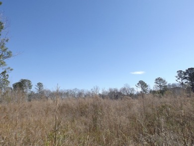 Lots 19, 20 and 21 along Comstock Lane at the corner of White on Players Course At Wyboo Plantation in South Carolina - for sale on GolfHomes.com, golf home, golf lot