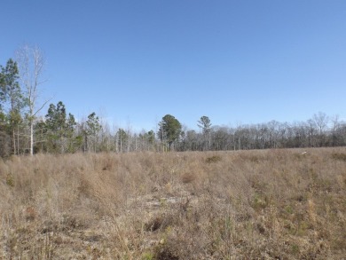 Lots 19, 20 and 21 along Comstock Lane at the corner of White on Players Course At Wyboo Plantation in South Carolina - for sale on GolfHomes.com, golf home, golf lot