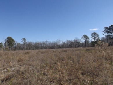 Lots 19, 20 and 21 along Comstock Lane at the corner of White on Players Course At Wyboo Plantation in South Carolina - for sale on GolfHomes.com, golf home, golf lot