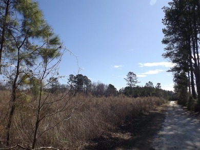 Lots 19, 20 and 21 along Comstock Lane at the corner of White on Players Course At Wyboo Plantation in South Carolina - for sale on GolfHomes.com, golf home, golf lot