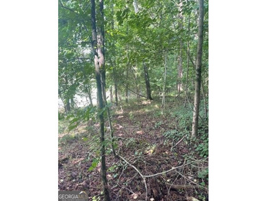 Build your dream home in the prestigious Hawks Ridge Golf Club on Hawks Ridge Golf Club in Georgia - for sale on GolfHomes.com, golf home, golf lot