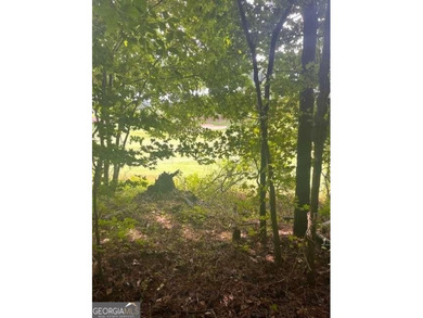 Build your dream home in the prestigious Hawks Ridge Golf Club on Hawks Ridge Golf Club in Georgia - for sale on GolfHomes.com, golf home, golf lot