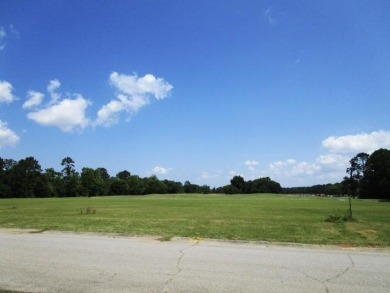 Beautiful new golf course home on #2 Tee box located in Chapel on Santee National Golf Course in South Carolina - for sale on GolfHomes.com, golf home, golf lot