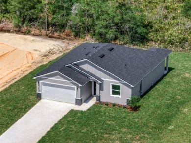 New construction home available in the highly sought-after Sun N on Sun n Lake Golf and Country Club in Florida - for sale on GolfHomes.com, golf home, golf lot