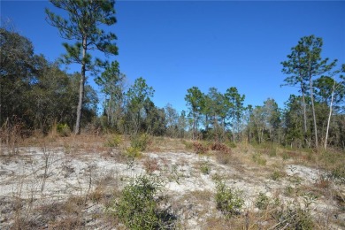 Build your Dream home on your .24 acres of CLEARED land.Located on Huntington Golf Club in Florida - for sale on GolfHomes.com, golf home, golf lot