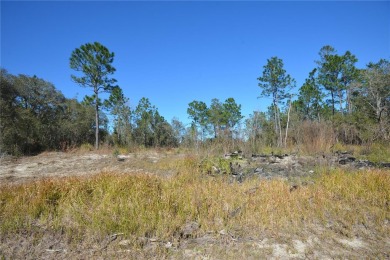 Build your Dream home on your .24 acres of CLEARED land.Located on Huntington Golf Club in Florida - for sale on GolfHomes.com, golf home, golf lot