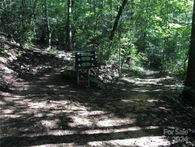 Beautifully updated 2 bedroom, 2 bath Quail Cove Townhome with on Rumbling Bald Resort on Lake Lure in North Carolina - for sale on GolfHomes.com, golf home, golf lot