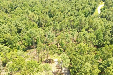Discover 5 Acres of Possibility at The Cliffs at Keowee on The Cliffs At Keowee Vineyards Golf Club in South Carolina - for sale on GolfHomes.com, golf home, golf lot