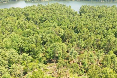 Discover 5 Acres of Possibility at The Cliffs at Keowee on The Cliffs At Keowee Vineyards Golf Club in South Carolina - for sale on GolfHomes.com, golf home, golf lot