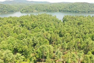 Discover 5 Acres of Possibility at The Cliffs at Keowee on The Cliffs At Keowee Vineyards Golf Club in South Carolina - for sale on GolfHomes.com, golf home, golf lot